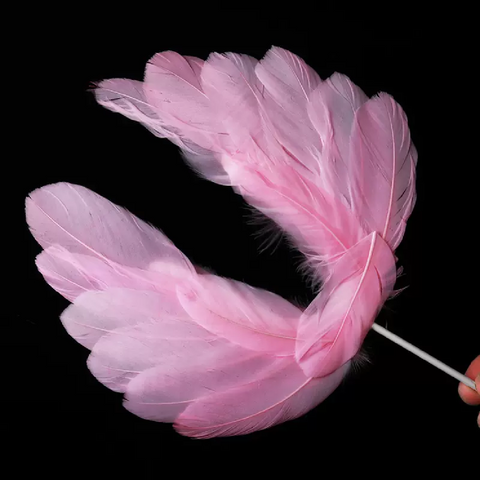 Cake Topper Cupcake Decorations  - Feather 'Angel Wings' - Pink - Rampant Coffee Company